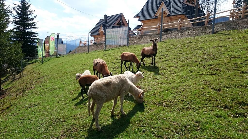 Gliczarów斯科鲁塞纳旅馆住宿加早餐旅馆 外观 照片