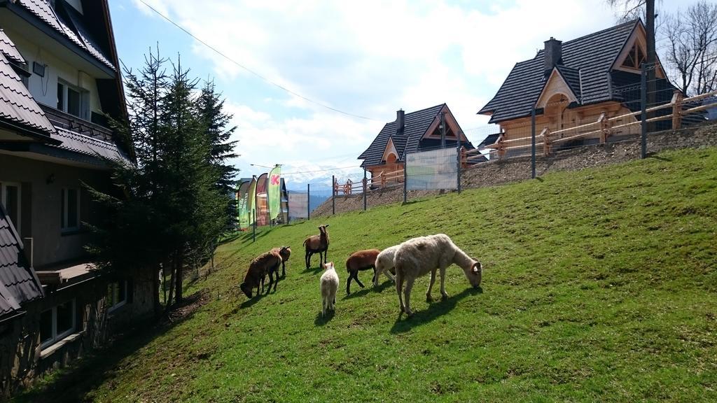 Gliczarów斯科鲁塞纳旅馆住宿加早餐旅馆 外观 照片